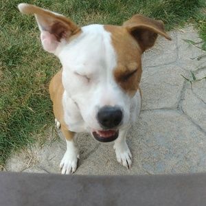 Meet your Posher, Jojen